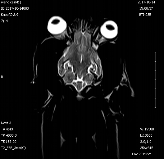 C Shape Veterinary Machine , Permanent 0.35 Tesla Veterinary Mri Scanners 2