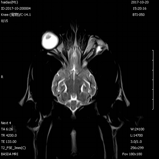 0.5T Veterinary Mri Scanners 0