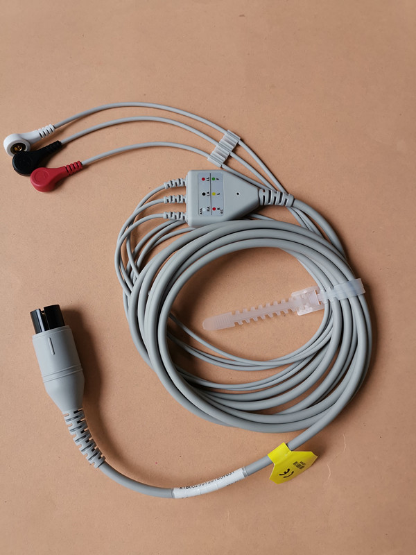 Portable DSP Technology 1MHz Veterinary Machine / Veterinary Ecg Monitor 0