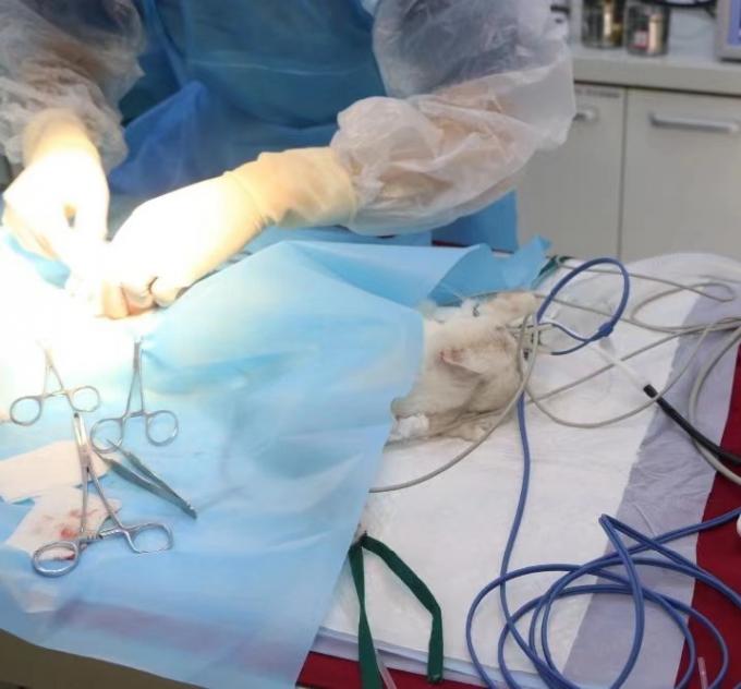 ISO9001 Portable 12 Lead 6 Channel Format Veterinary Ecg Machine 0