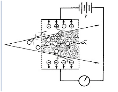 CE Island Table Gastrointestinal Digital X Ray Equipment BTF-650DRF 1