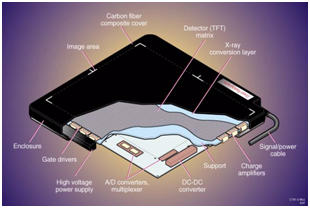 CCD DDR Detector 139um Pixel Digital X Ray Machine BTF-50 0