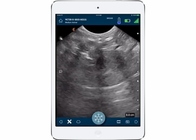 ISO Convex + Linear Wireless Portable Animal Ultrasound Machine