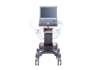China 3D 2 Probe Sockets Portable Color Doppler Ultrasound Machine BTH-50S company