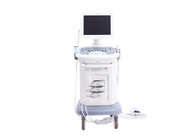 Cartbase Color Doppler Ultrasound Color Ultrasound Medical Ultrasound Machine BTH-90S