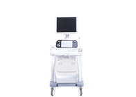 Large Touchscreen 4D Diagnostic 3D Ultrasound Pregnancy Ultrasound System Color Ultrasound BTH-150S