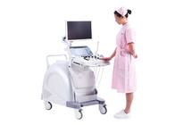 Big Touchscreen Color Ultrasound 3D Ultrasound Pregnancy BASDA Diagnostic Ultrasound Equipment BTH-200S