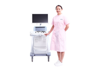 Cartbase 3D Ultrasound Pregnancy 110 Voltage Medical Ultrasound Machine Color UltrasoundBTH-300S