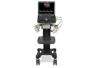 Rechargeable Veterinary Machine / ISO9001 Portable Animal Ultrasound Machine OTH-50V