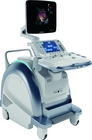 Color Doppler Ultrasound, Trolley Type, Obstetrics and Gynecology