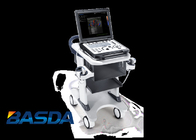 Convex Probe Portable Ultrasound Scanners 120VA BTH-20S For Orthopedics