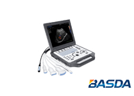 Rotate Doppler Ultrasound Machine 120VA Li Battery BTH-20S