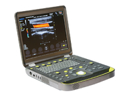 ISO9001 Doppler Ultrasound Machine Convex Probes Trapezoidal Imaging BTH-50S