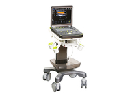 Re Programmable Portable Ultrasound Scanners 230cd/M2 Convex Probe BTH-50S