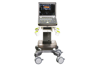 128 Array Doppler Ultrasound Device Convex Probe 3D Color BTH-50S