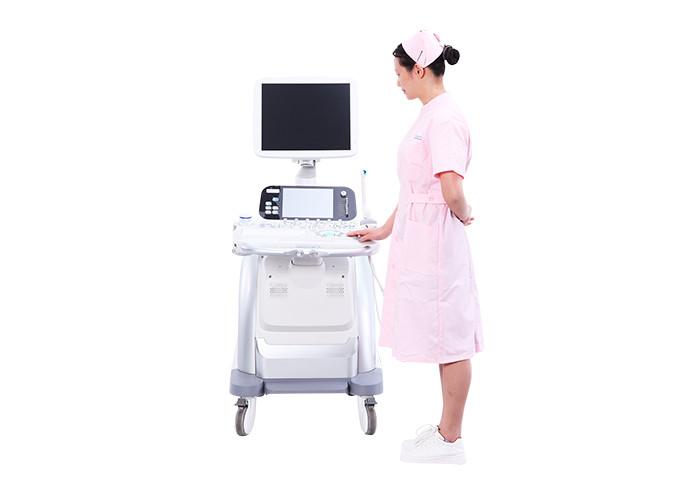 General Measurement 3D Ultrasound Pregnancy BASDA Medical Ultrasound Machine Color UltrasoundBTH-150S