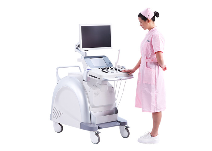 Big Touchscreen Color Ultrasound 3D Ultrasound Pregnancy BASDA Diagnostic Ultrasound Equipment BTH-200S