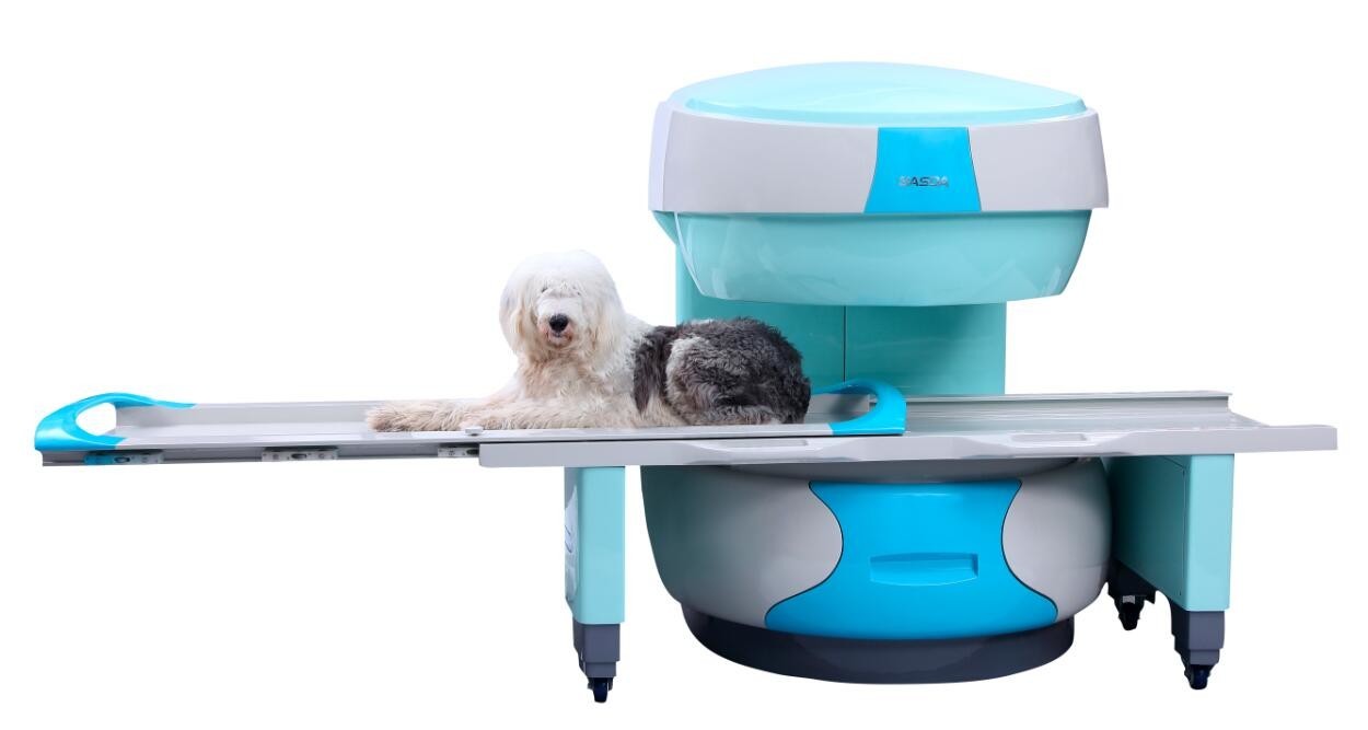 VET OPEN/PERMANENT MAGNETIC RESONANCE IMAGING SYTEM (MRI) , MODEL: BTI-035, MAGNETIC FIELD STRENGHT: 0.35T,