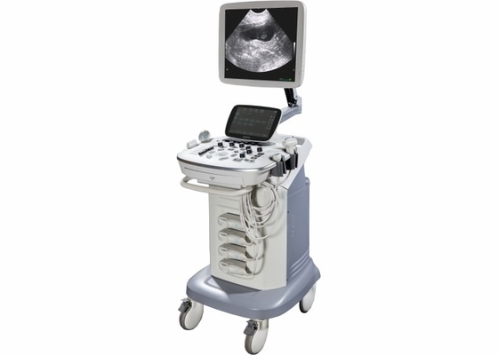 Rechargeable Battery 3D Veterinary Ultrasound Machine BTH-90V