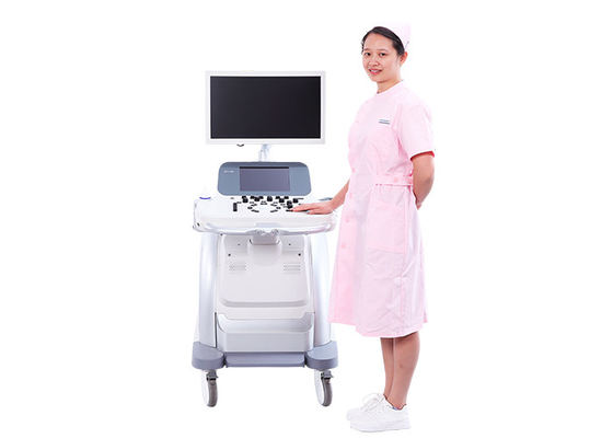 China NMPA Certified 3D Ultrasound Pregnancy 220V Diagnostic Ultrasound Color UltrasoundMachine BTH-150S factory