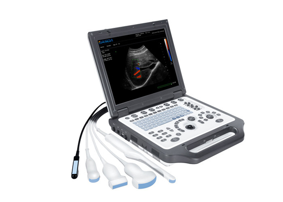 Multi-Probes 15inch Portable Ultrasound Scanners BTH-20S